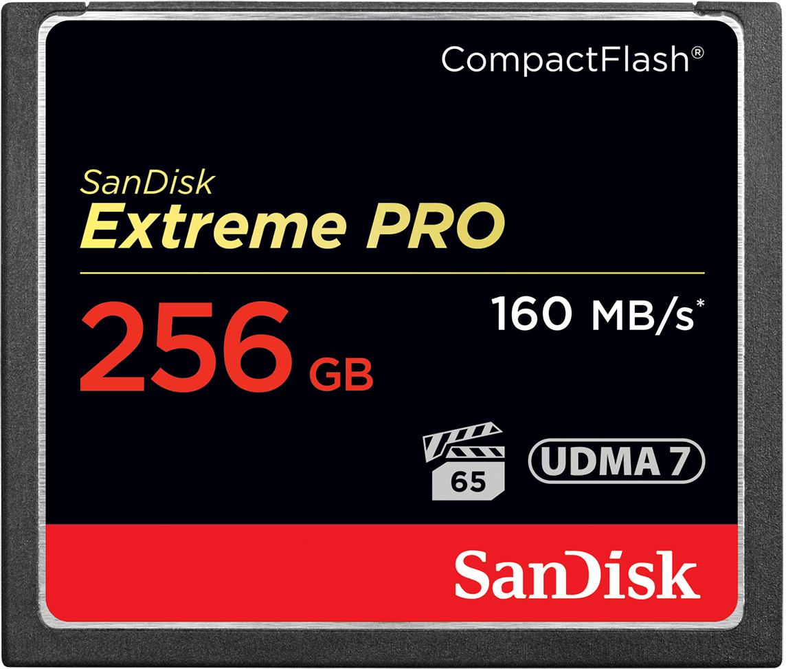 Karta pamięci CompactFlash SanDisk Extreme Pro, 256Gb, UDMA 7 SDCFXPS-256G-X46