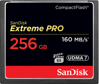 Karta pamięci CompactFlash SanDisk Extreme Pro, 256Gb, UDMA 7 SDCFXPS-256G-X46