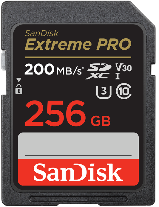 Karta pamięci SDXC SanDisk Extreme Pro, 256GB, Klasa 10 / UHS-1 U3 SDSDXXD-256G-GN4IN