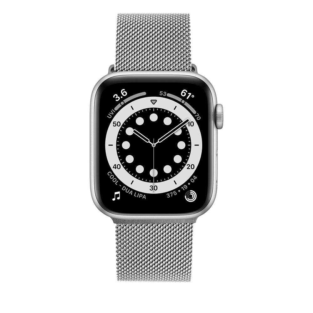 Pasek Fixed Mesh do Apple Watch 42mm / 41mm / 40mm / 38mm Series, Srebrny