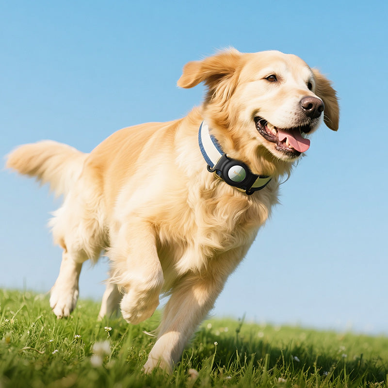 HOCO SmartTag E91C for iOS Series, White