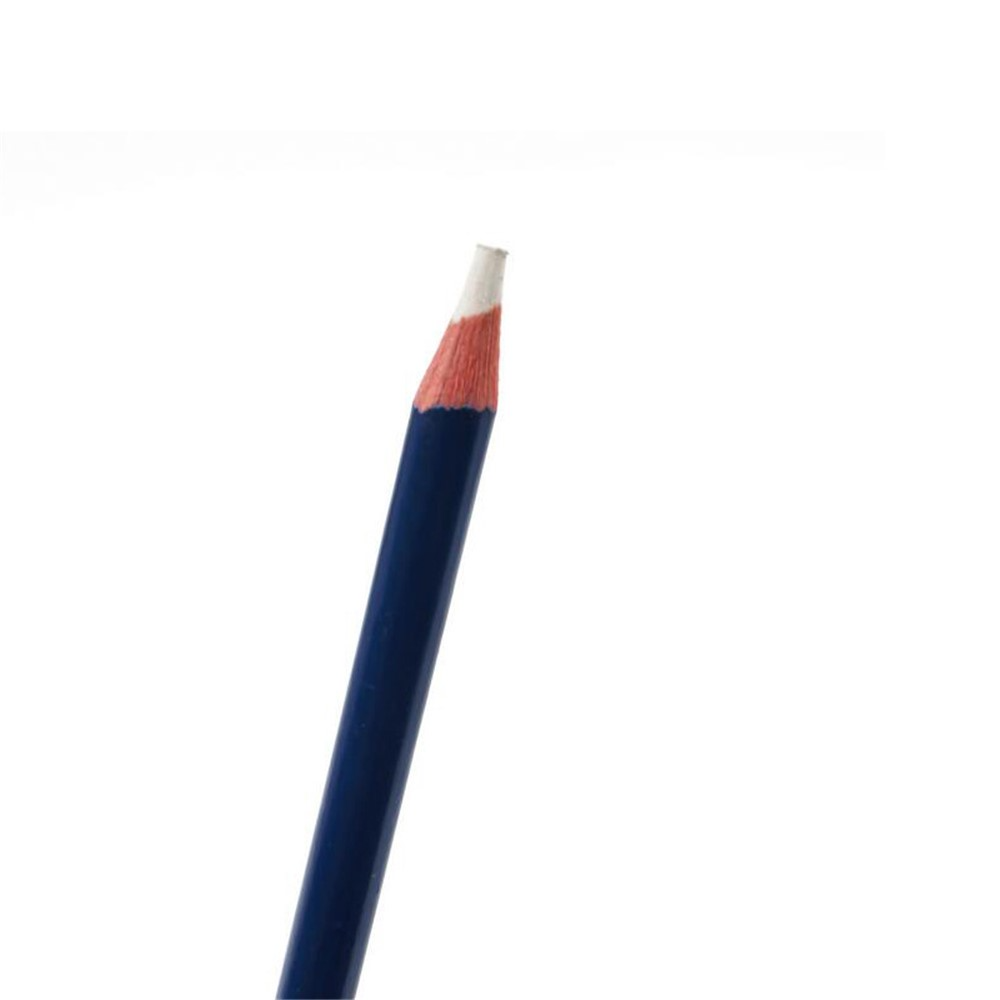Gold Energy Antistatic Brush No.7012 2in1