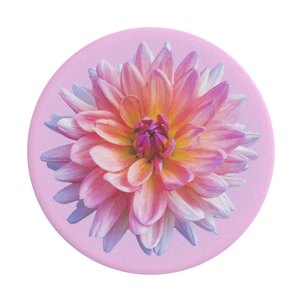 Uchwyt PopGrip Popsockets Dahlia Icon, Wielokolorowy